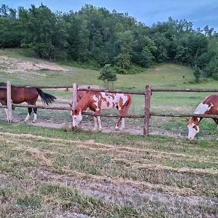 App.to Pian Del Ronco Daire *