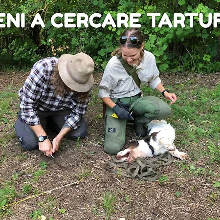 Daire App.to Pian Del Ronco Pellegrino Parmense