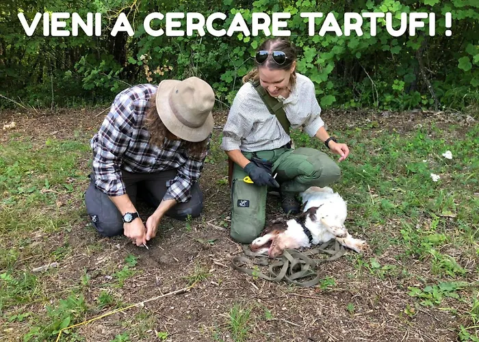 Daire App.to Pian Del Ronco Pellegrino Parmense